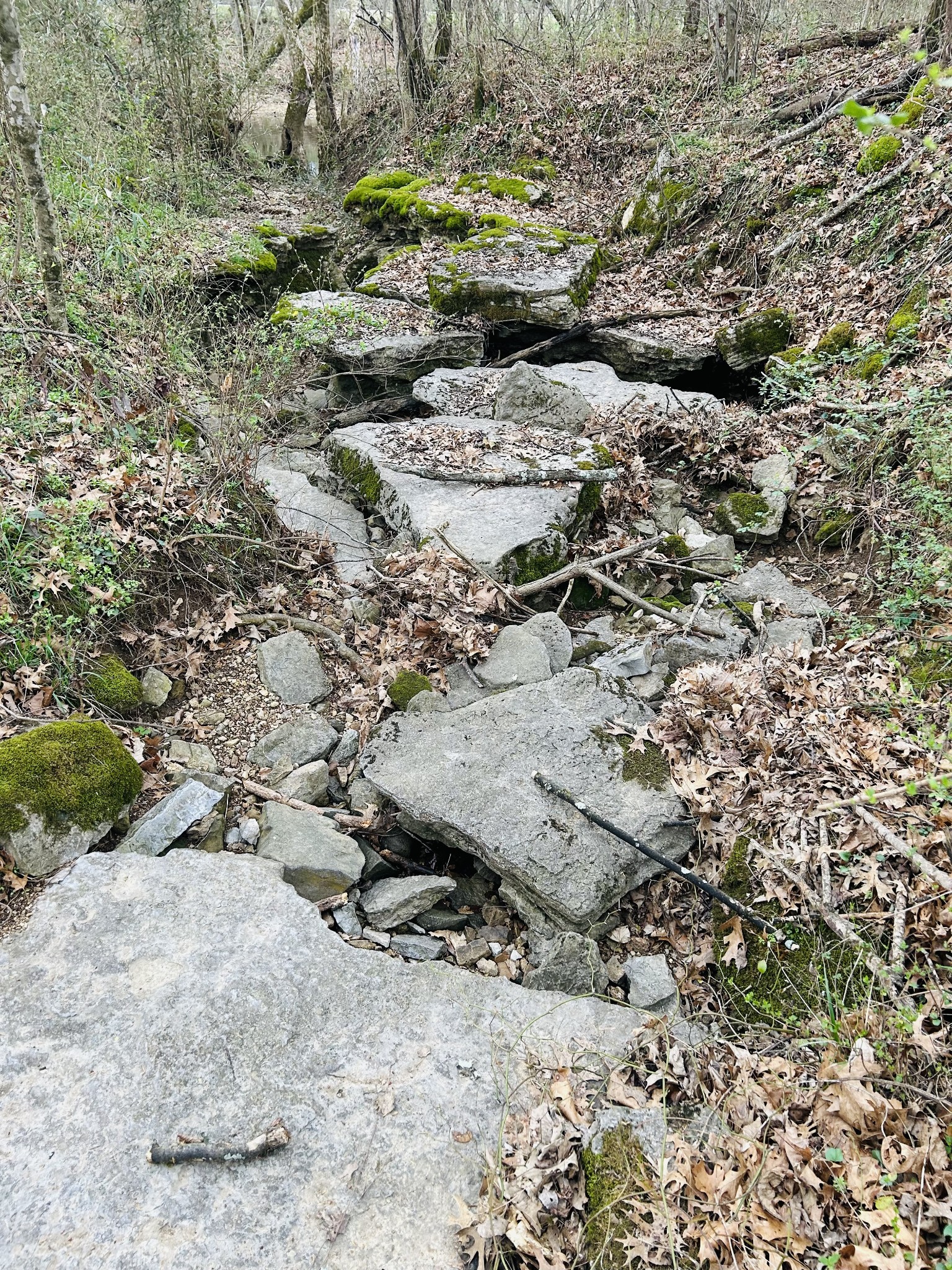 0 Clyde Gleaves Road Wartrace TN 37183