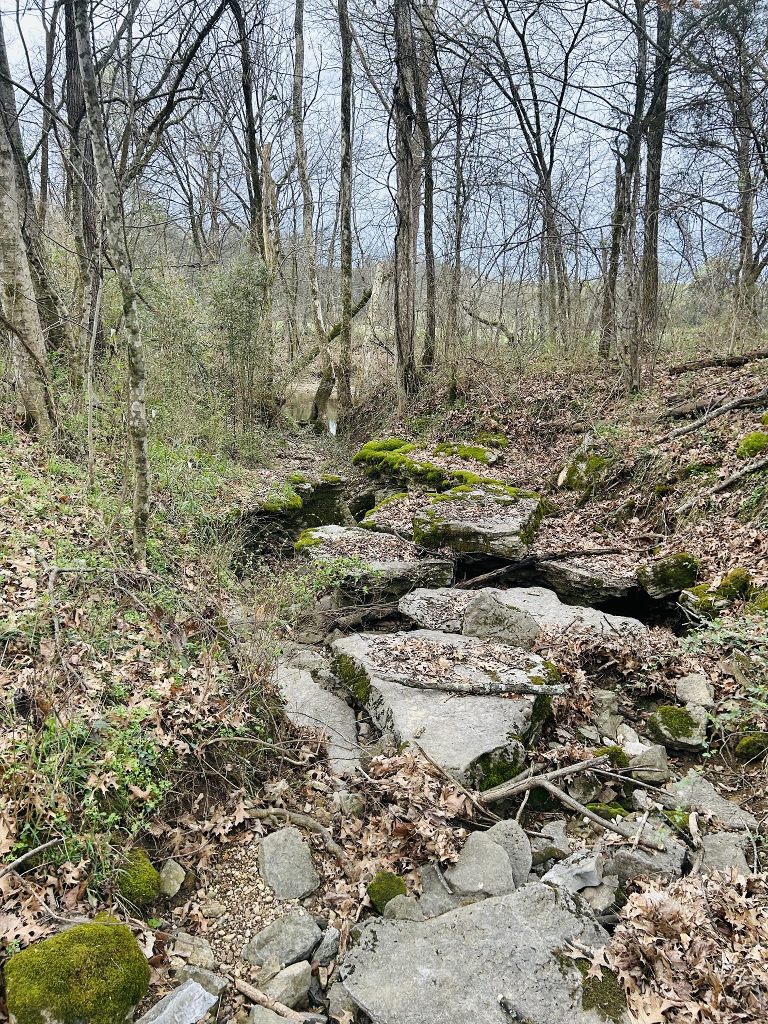 0 Clyde Gleaves Road Wartrace TN 37183