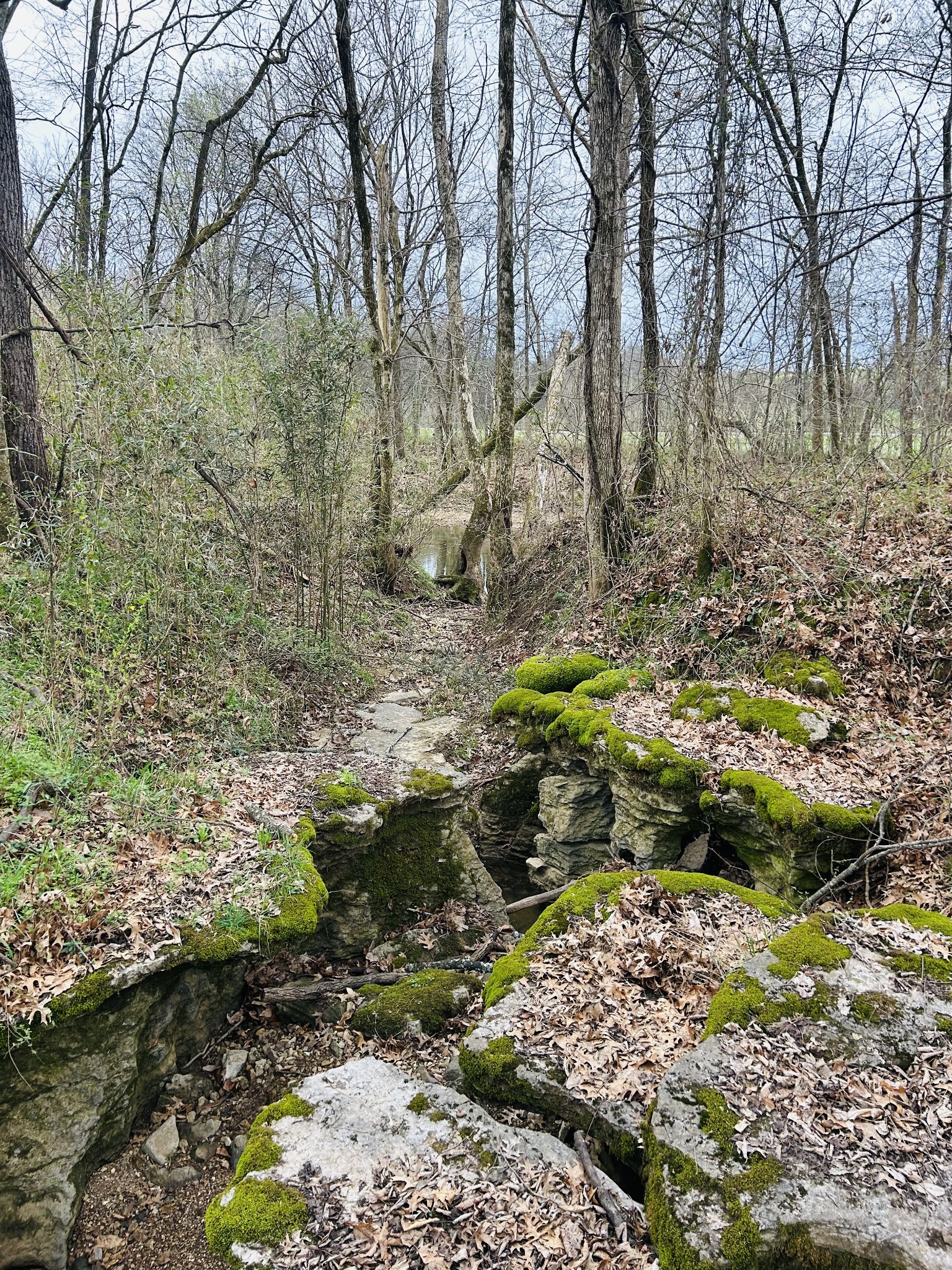 0 Clyde Gleaves Road Wartrace TN 37183