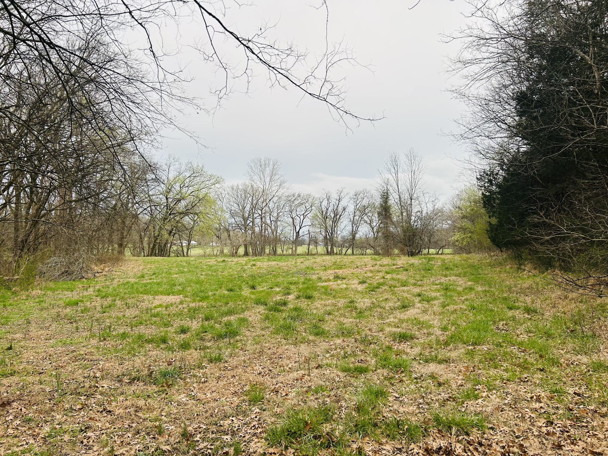0 Clyde Gleaves Road Wartrace TN 37183