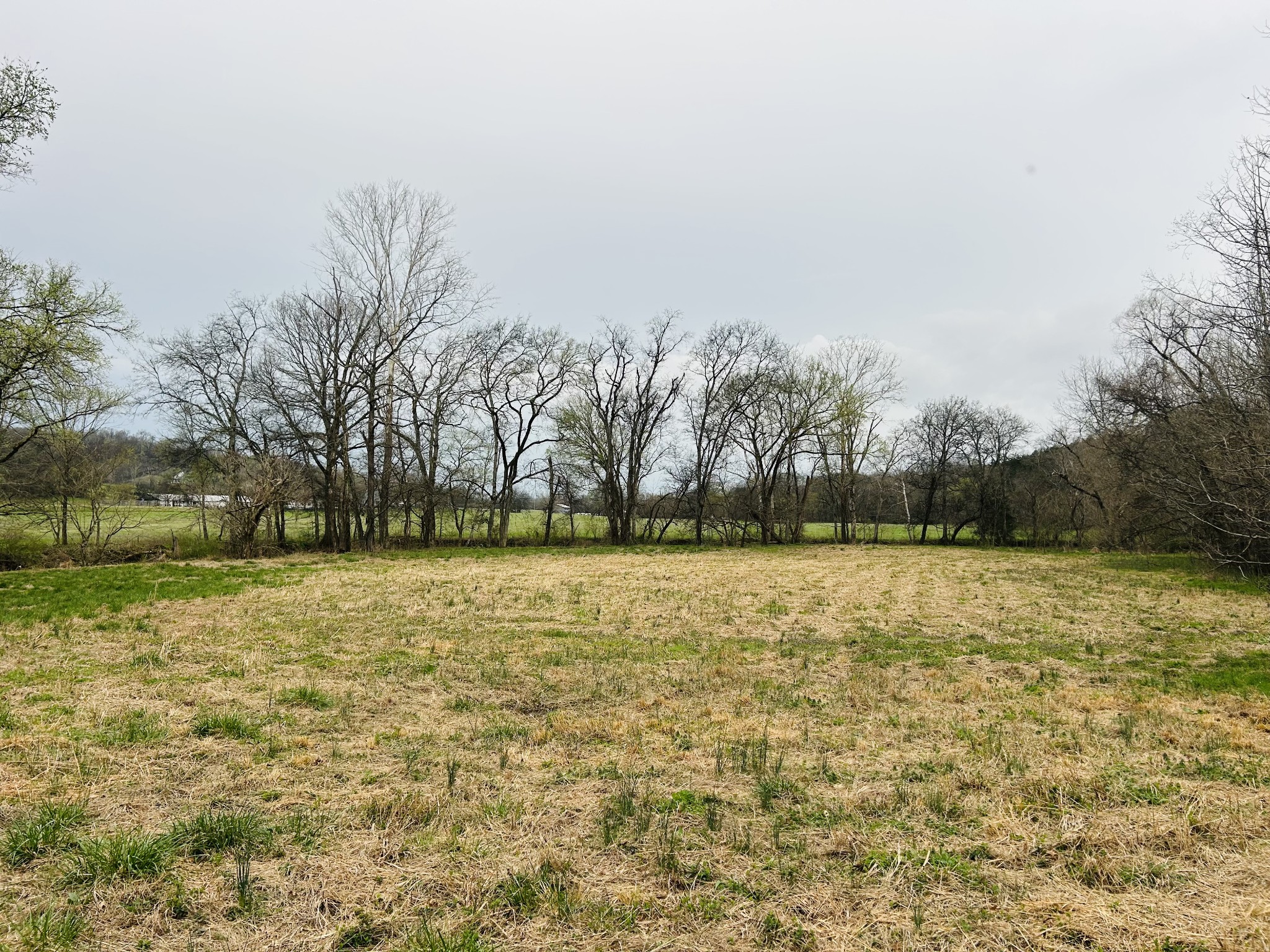 0 Clyde Gleaves Road Wartrace TN 37183