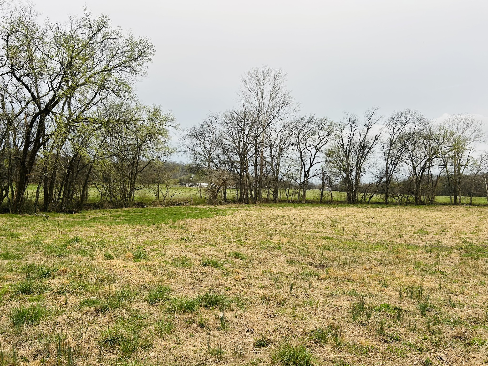 0 Clyde Gleaves Road Wartrace TN 37183