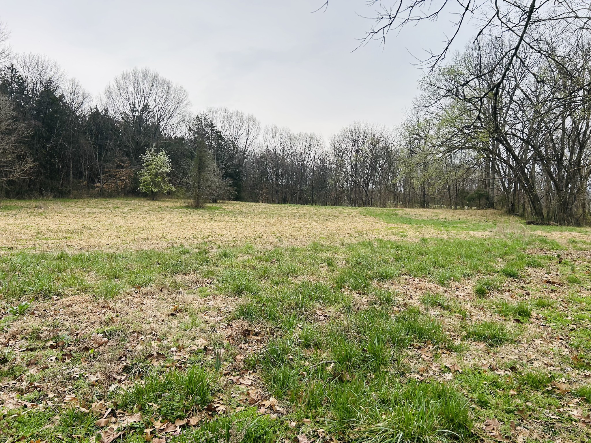 0 Clyde Gleaves Road Wartrace TN 37183