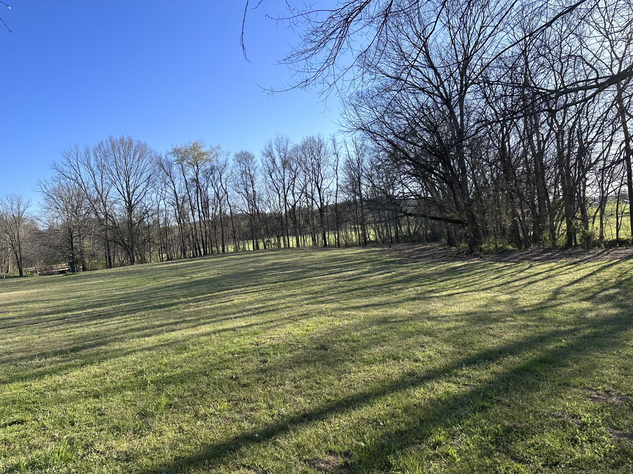 0 Clyde Gleaves Road Wartrace TN 37183