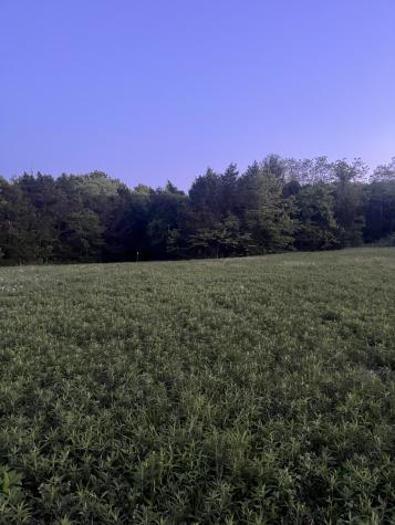 0 Rock Hill Road Readyville TN 37149