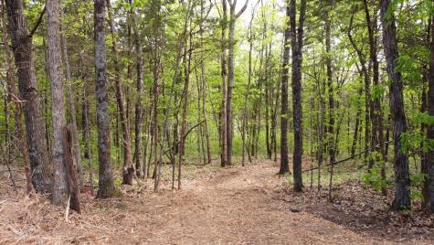 0 Rock Hill Road Readyville TN 37149