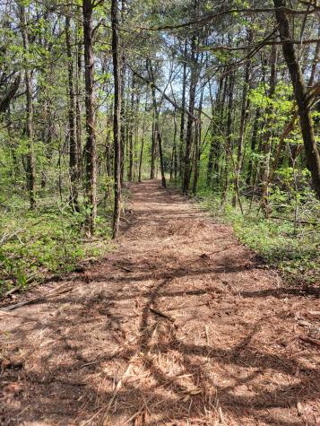 0 Rock Hill Road Readyville TN 37149