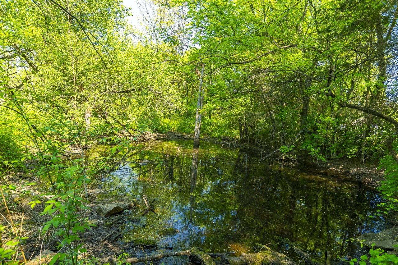 3702B Highway 231, N Shelbyville TN 37160