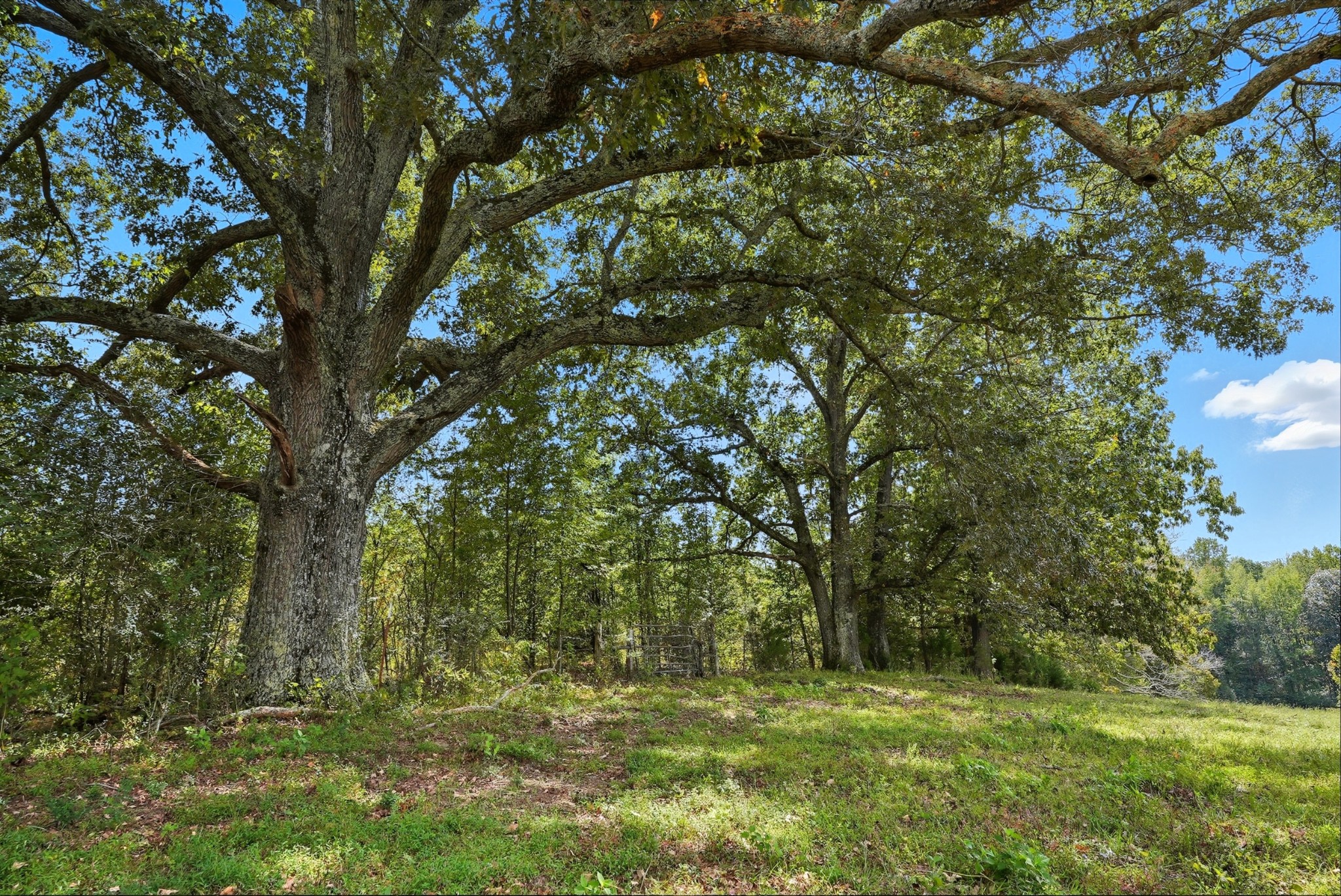 1 Smithville Highway Sparta TN 38583