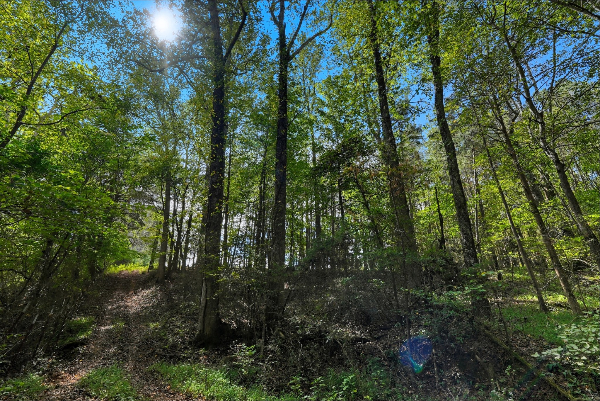 1 Smithville Highway Sparta TN 38583