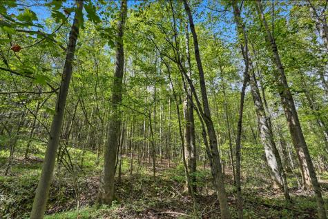 1 Smithville Highway Sparta TN 38583