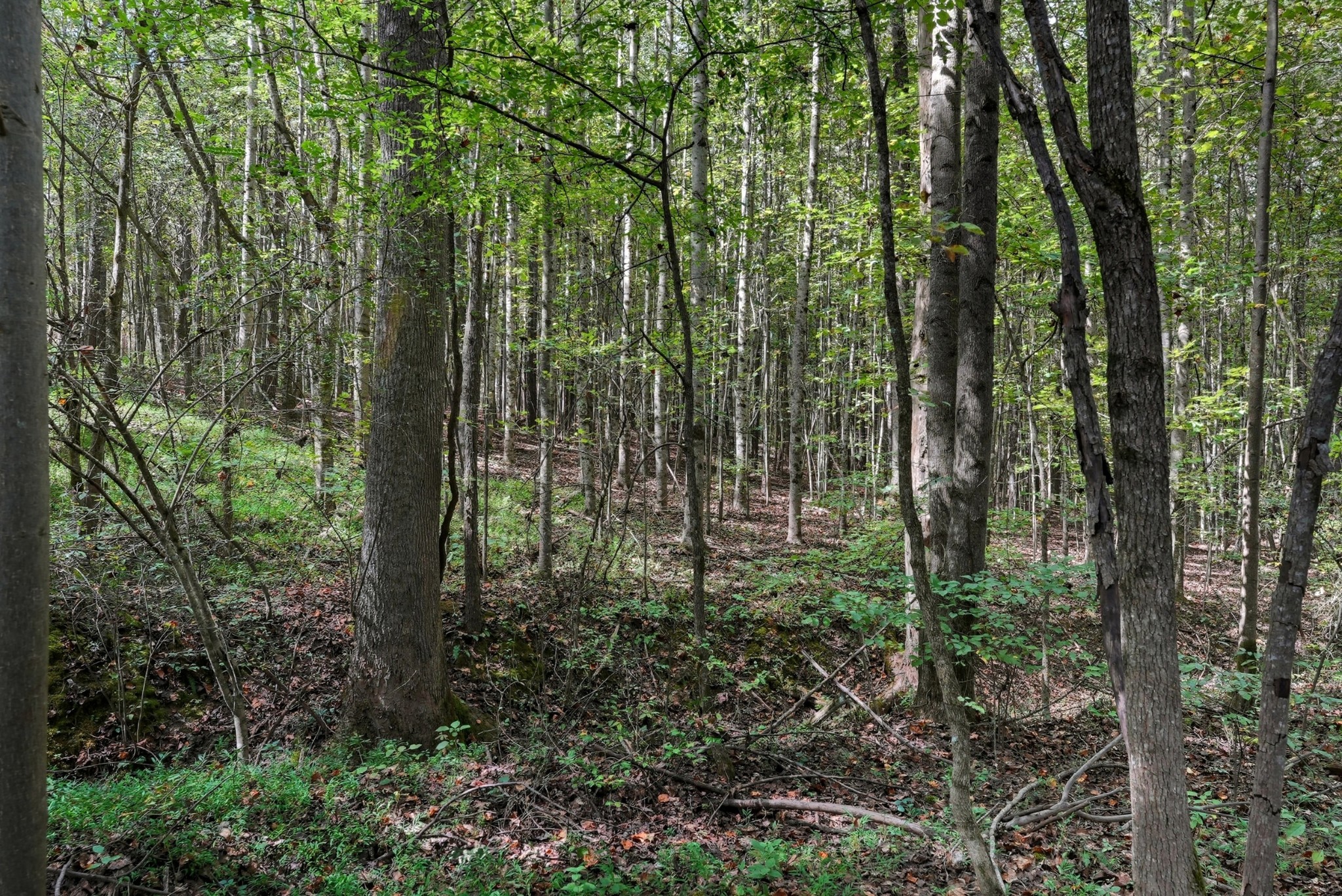 1 Smithville Highway Sparta TN 38583