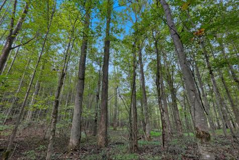 1 Smithville Highway Sparta TN 38583