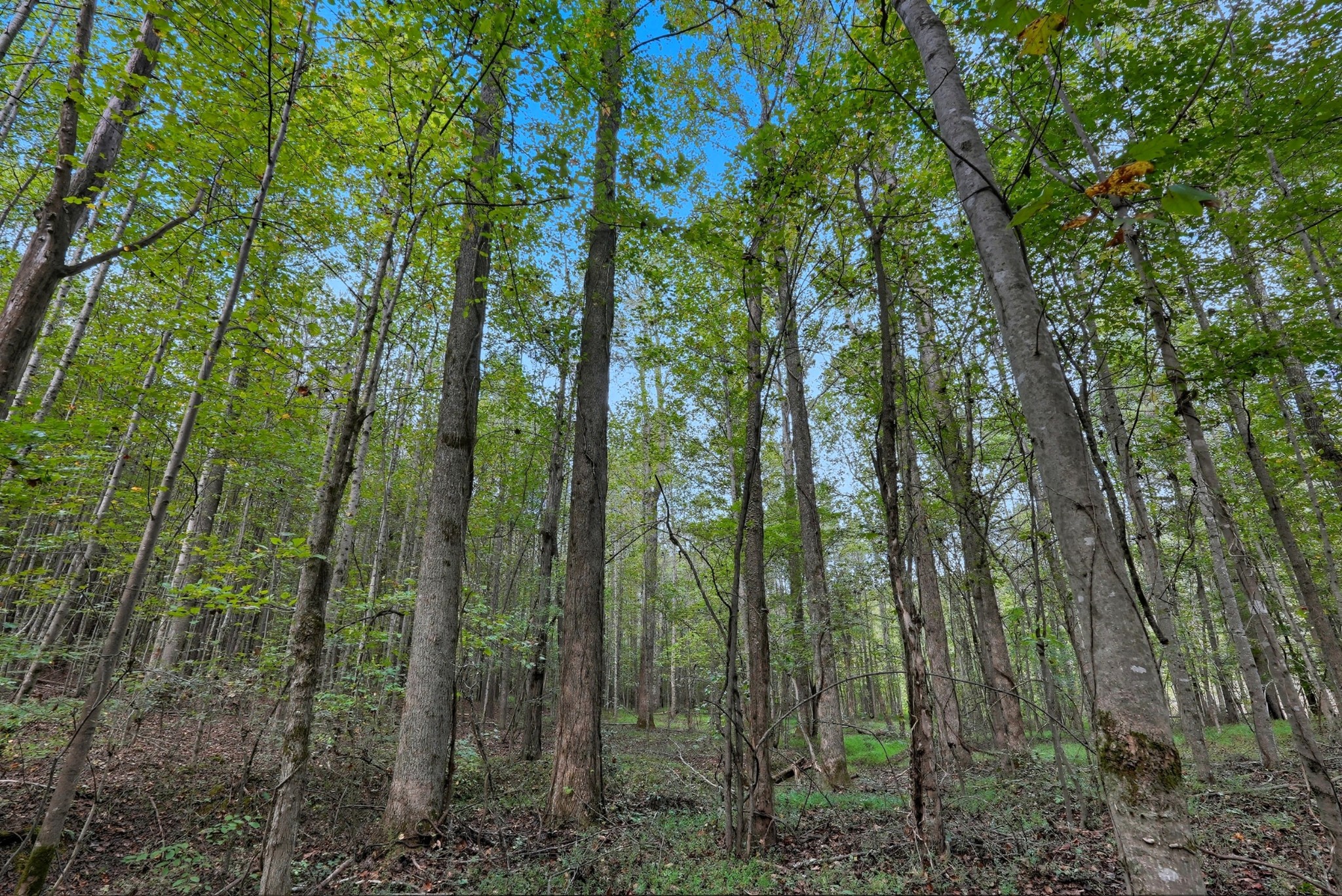 1 Smithville Highway Sparta TN 38583