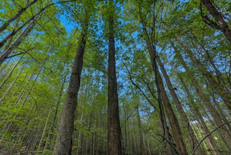 1 Smithville Highway Sparta TN 38583