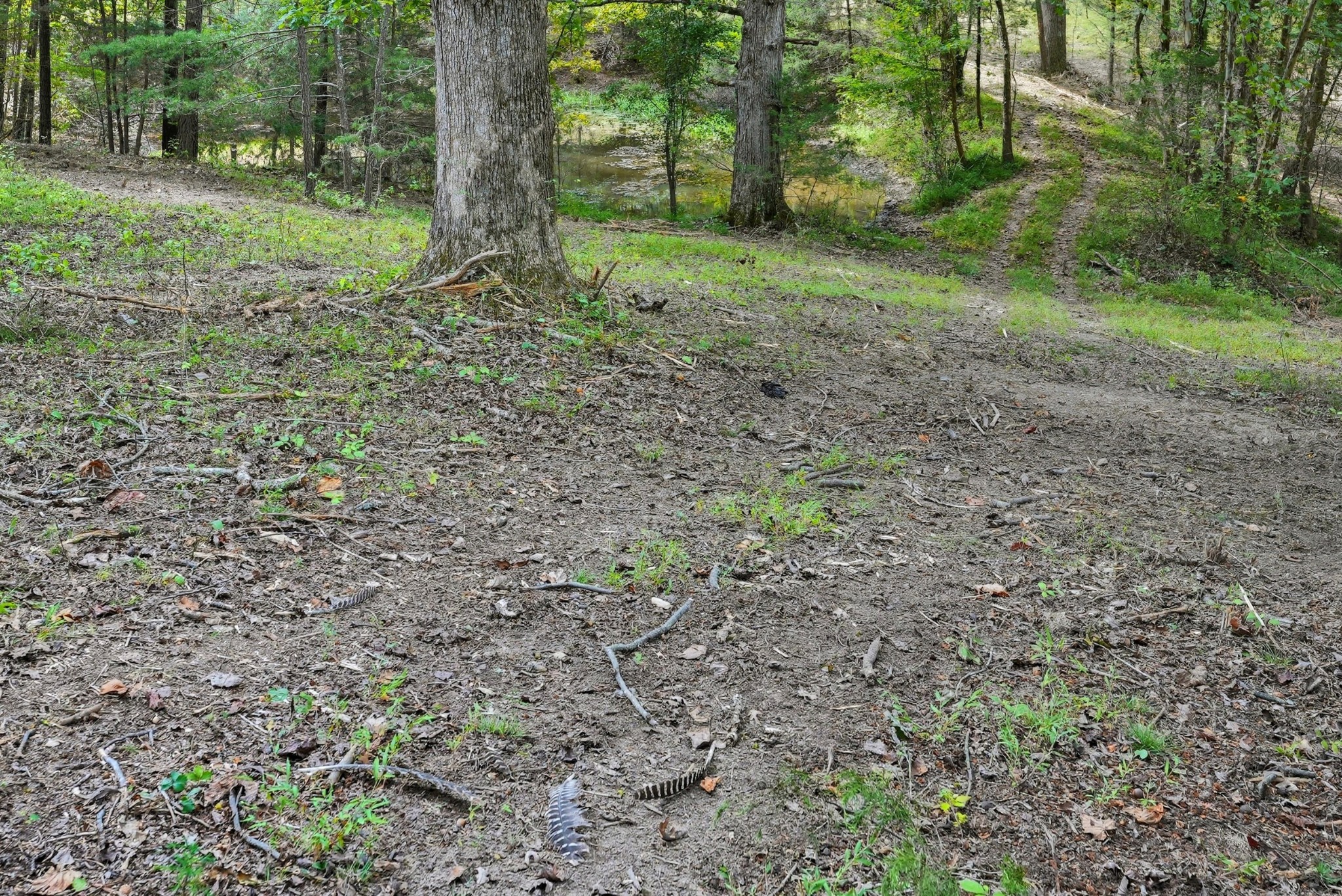 1 Smithville Highway Sparta TN 38583