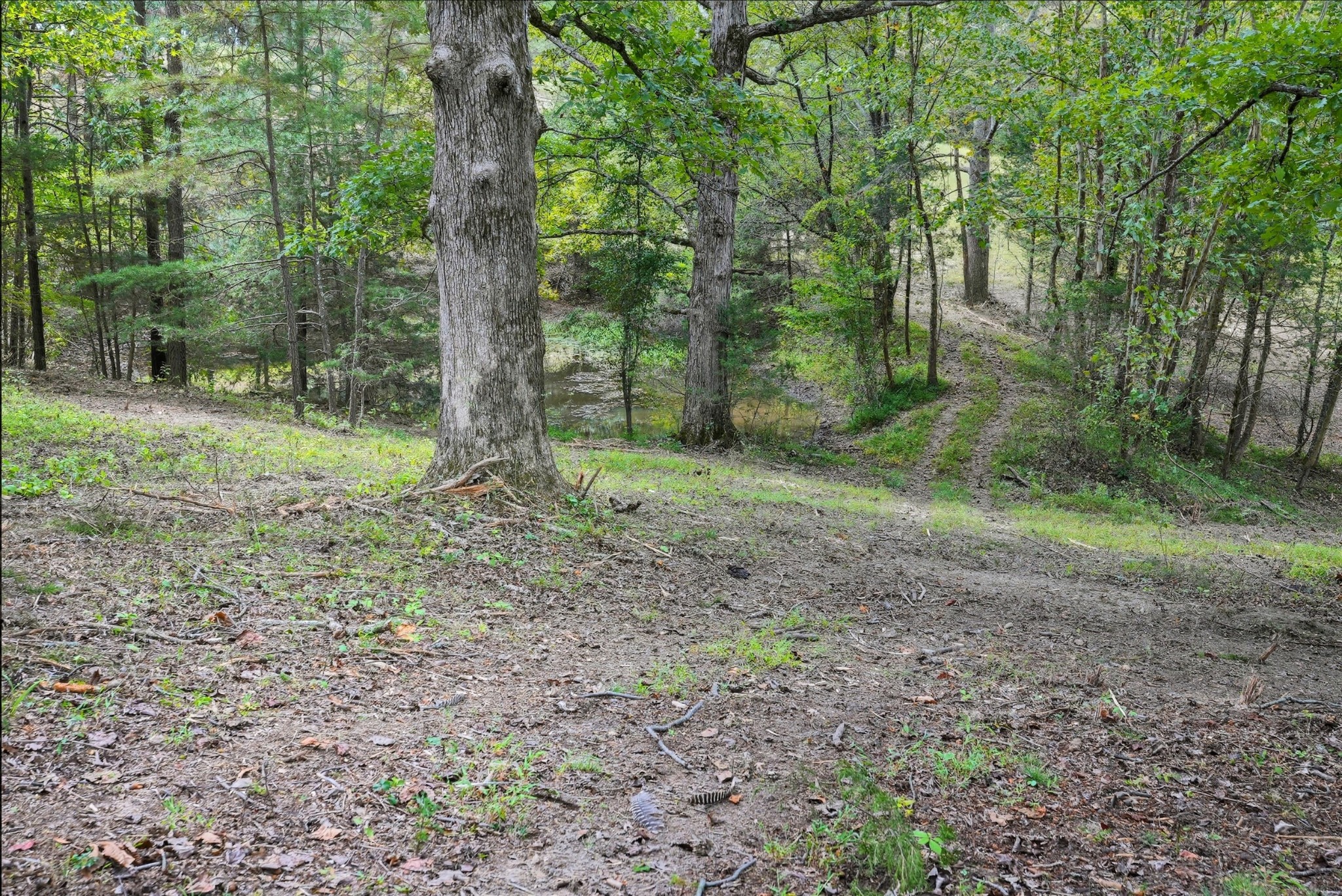 1 Smithville Highway Sparta TN 38583
