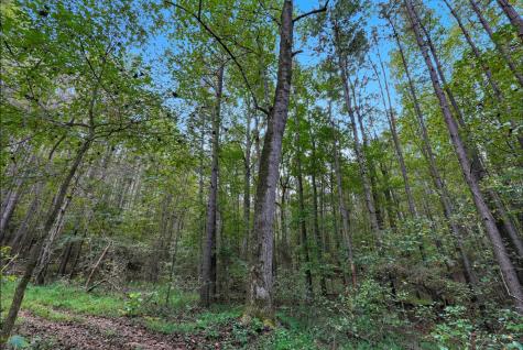 1 Smithville Highway Sparta TN 38583