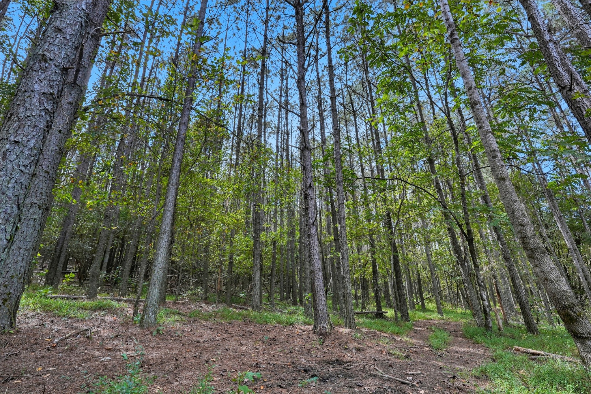 1 Smithville Highway Sparta TN 38583