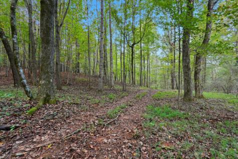 1 Smithville Highway Sparta TN 38583