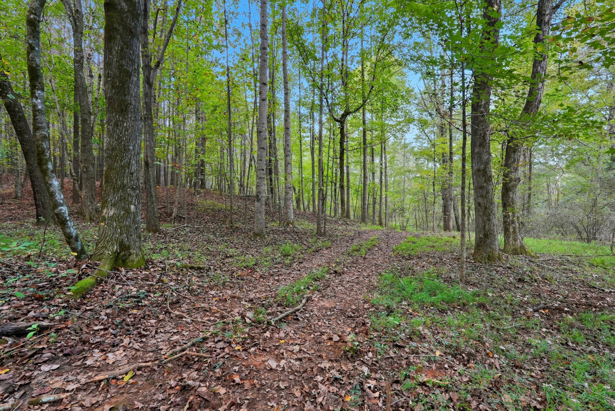 1 Smithville Highway Sparta TN 38583