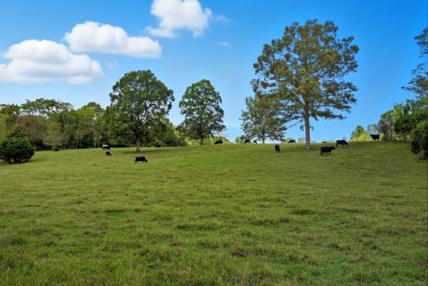 1 Smithville Highway Sparta TN 38583