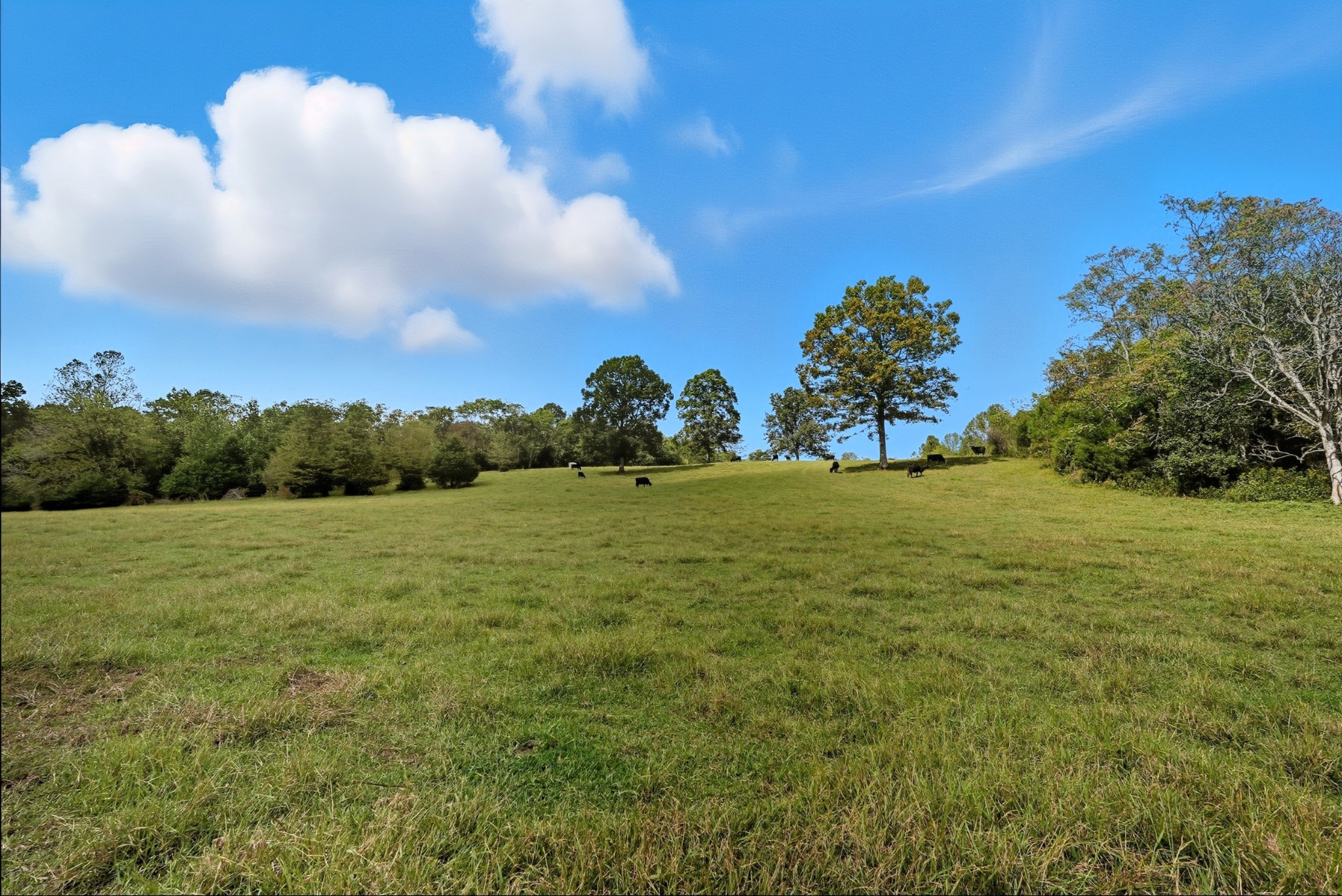1 Smithville Highway Sparta TN 38583