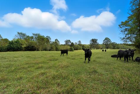 1 Smithville Highway Sparta TN 38583