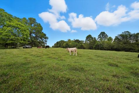 1 Smithville Highway Sparta TN 38583