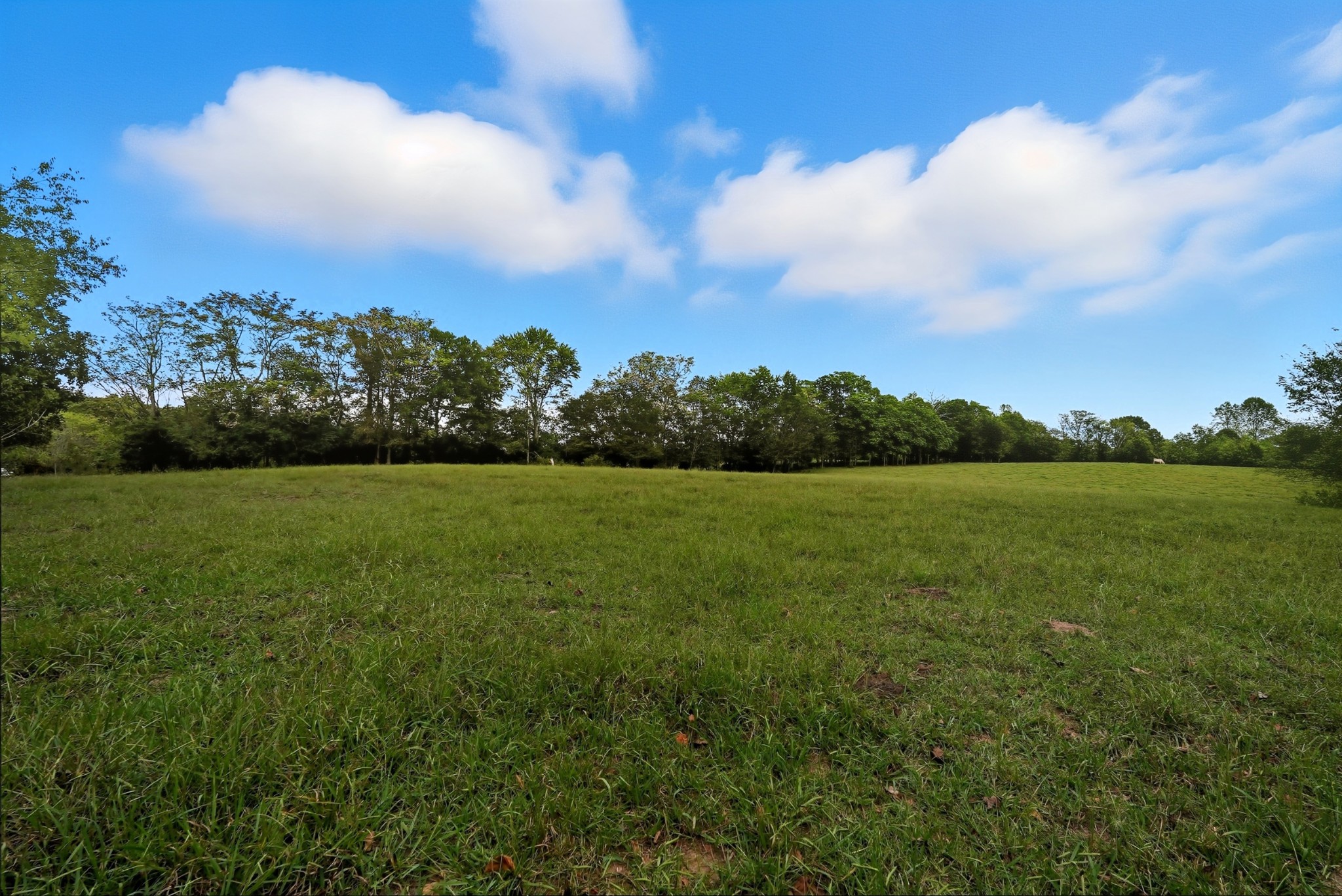 1 Smithville Highway Sparta TN 38583