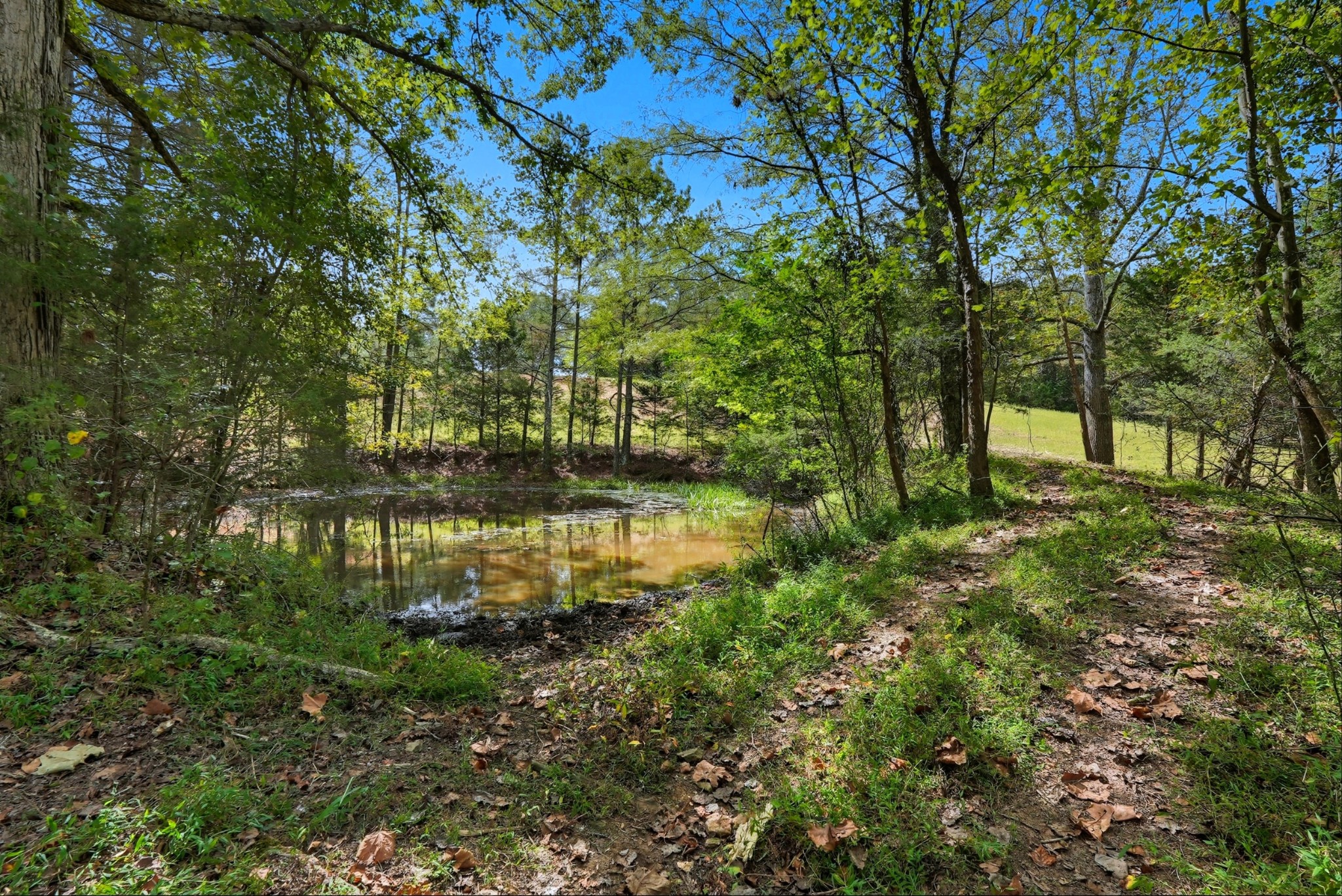 1 Smithville Highway Sparta TN 38583
