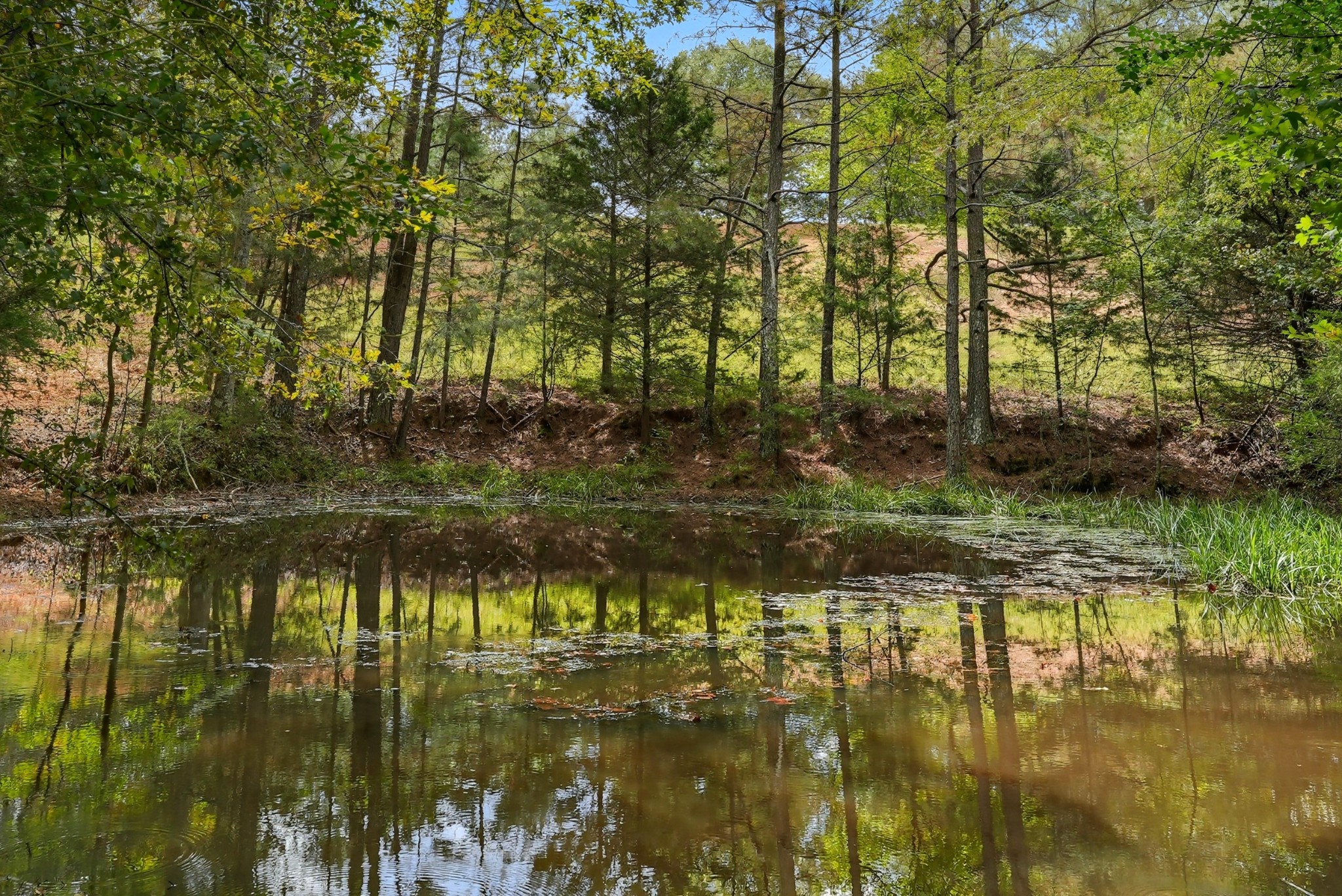 1 Smithville Highway Sparta TN 38583