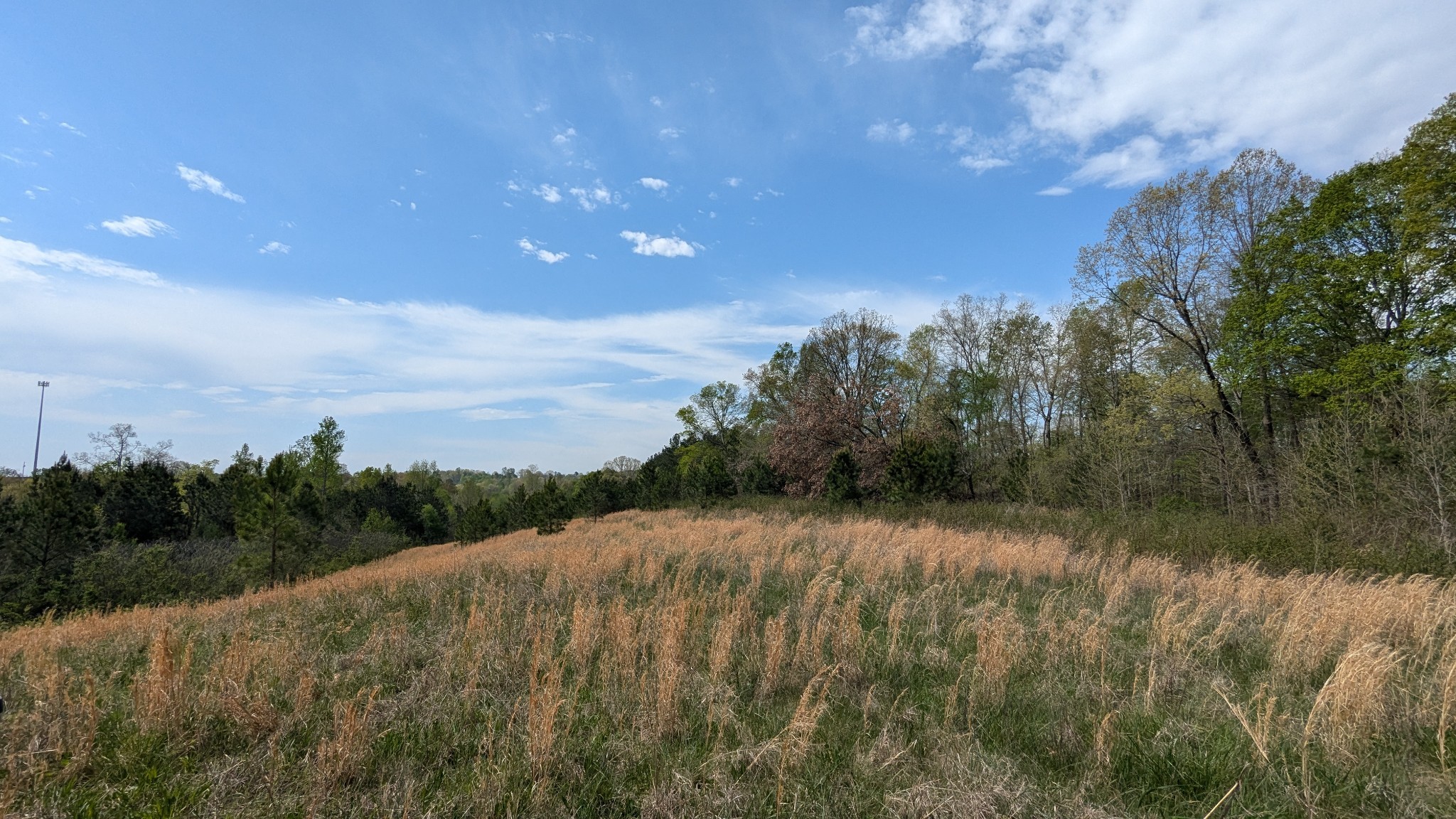 0 Meadows Road Portland TN 37148