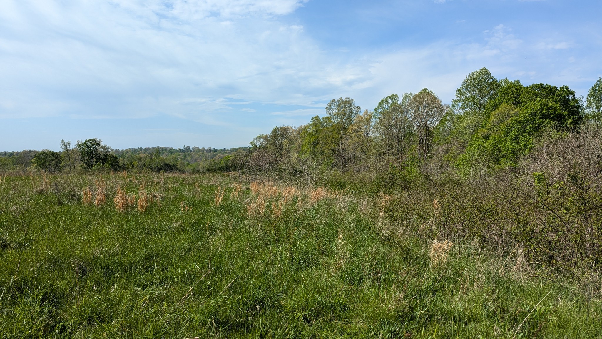 0 Meadows Road Portland TN 37148