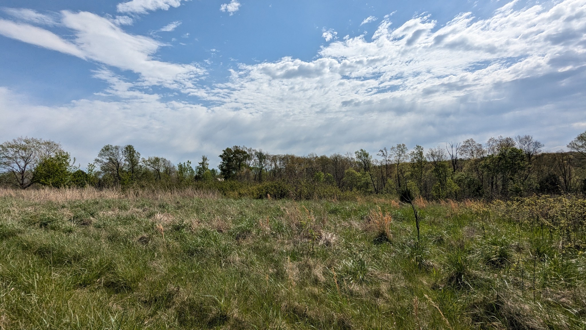 0 Meadows Road Portland TN 37148