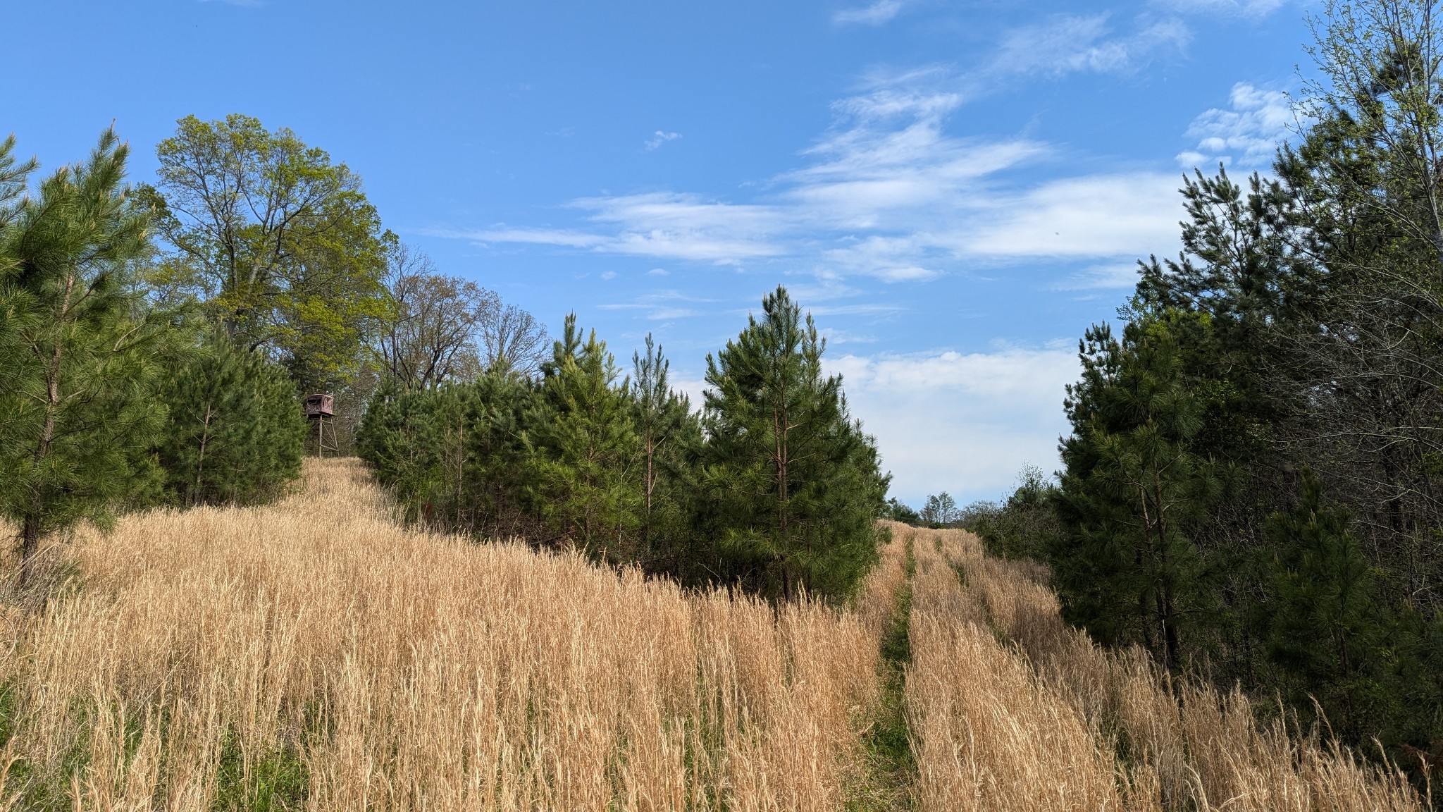 0 Meadows Road Portland TN 37148