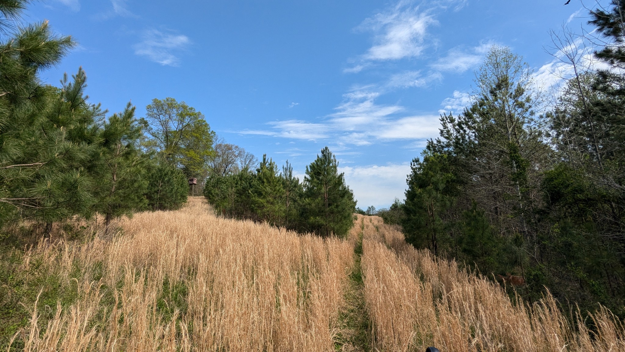 0 Meadows Road Portland TN 37148