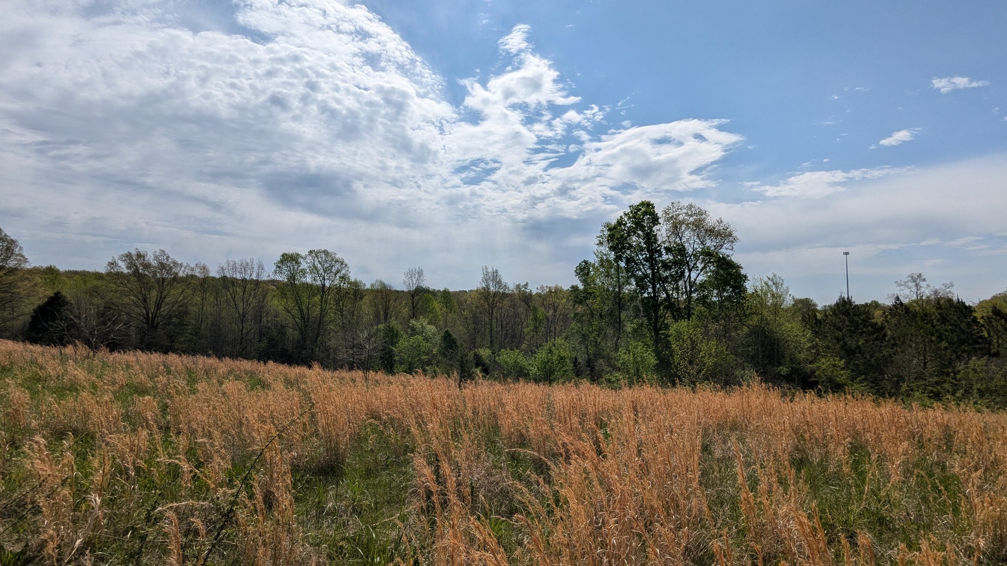 0 Meadows Road Portland TN 37148