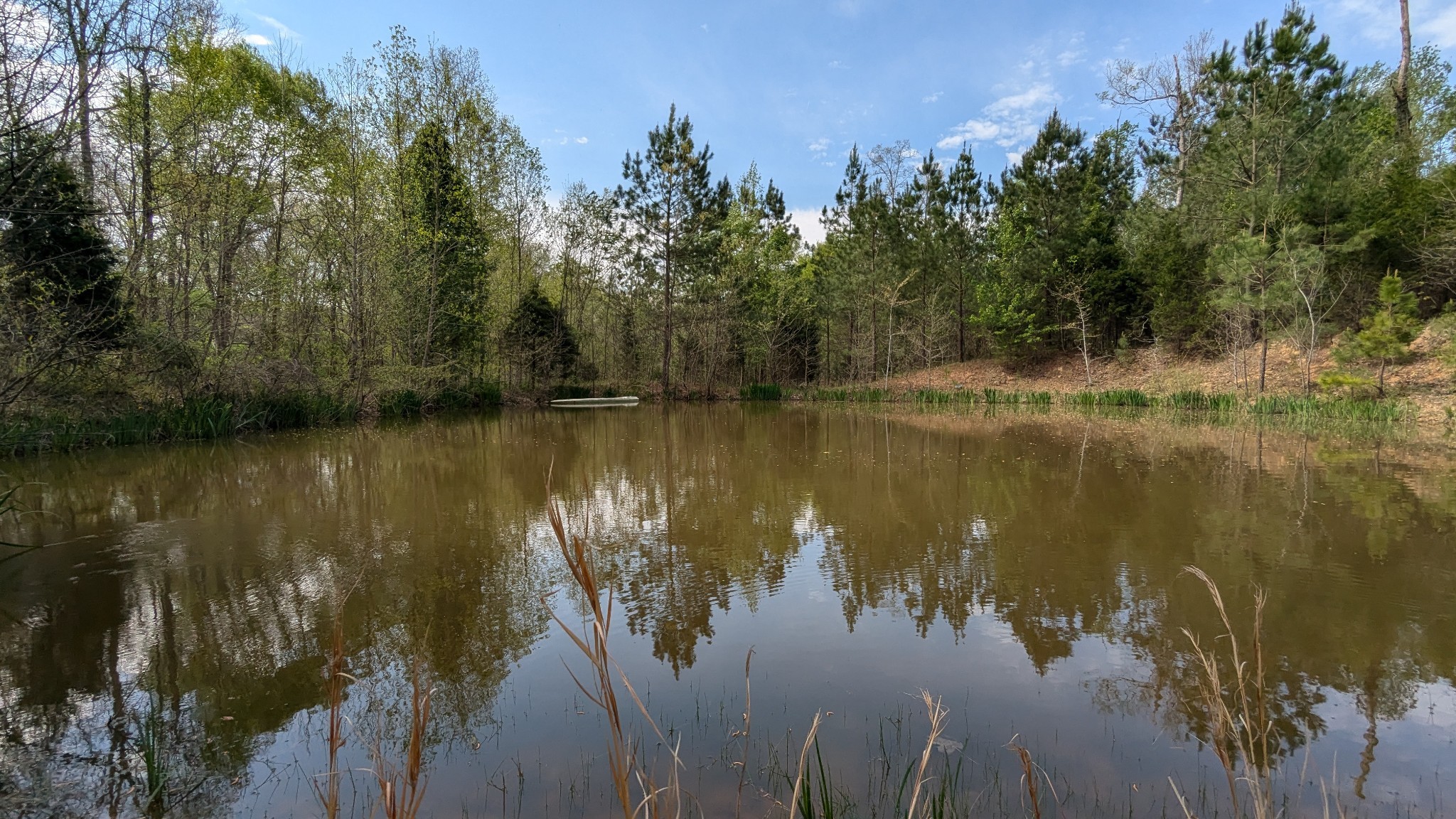 0 Meadows Road Portland TN 37148