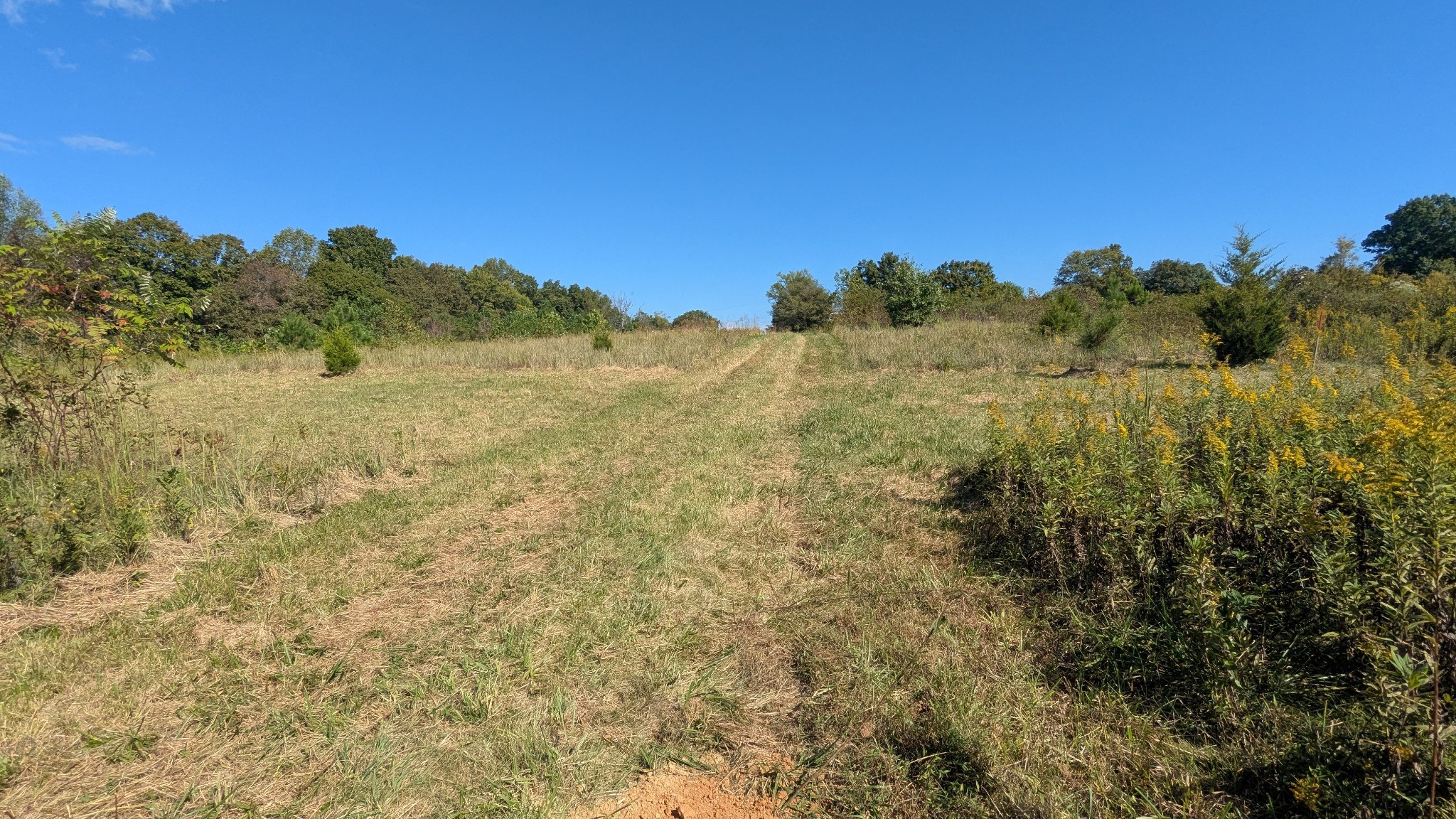 0 Meadows Road Portland TN 37148