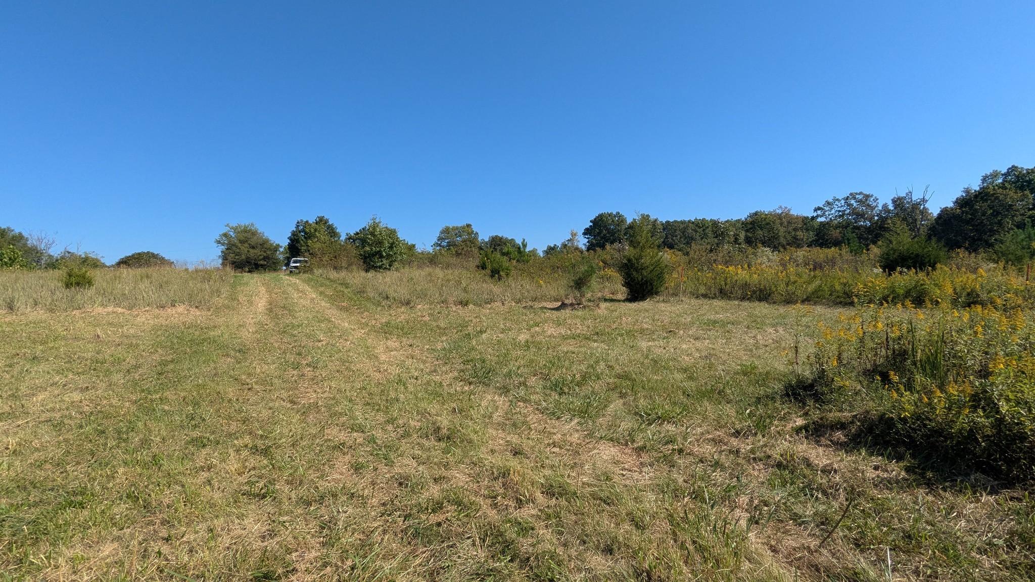 0 Meadows Road Portland TN 37148