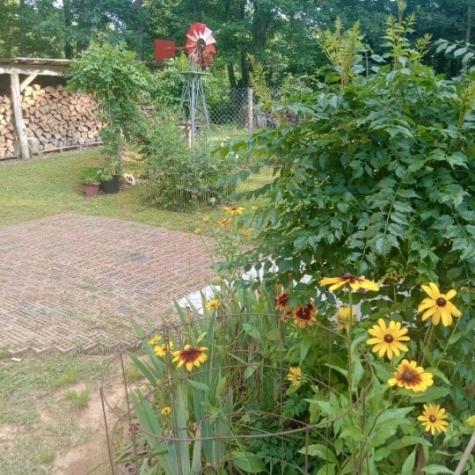 3162 Northcutts Cove Road Beersheba Springs TN 37305
