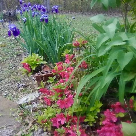 3162 Northcutts Cove Road Beersheba Springs TN 37305