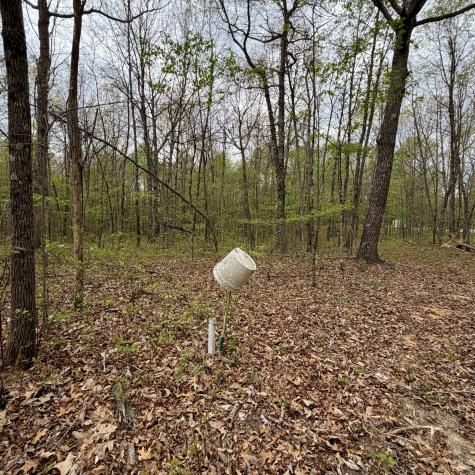 3162 Northcutts Cove Road Beersheba Springs TN 37305