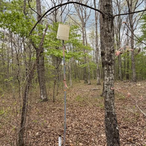 3162 Northcutts Cove Road Beersheba Springs TN 37305