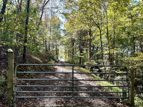 234 Turtle Point Lane Waverly TN 37185