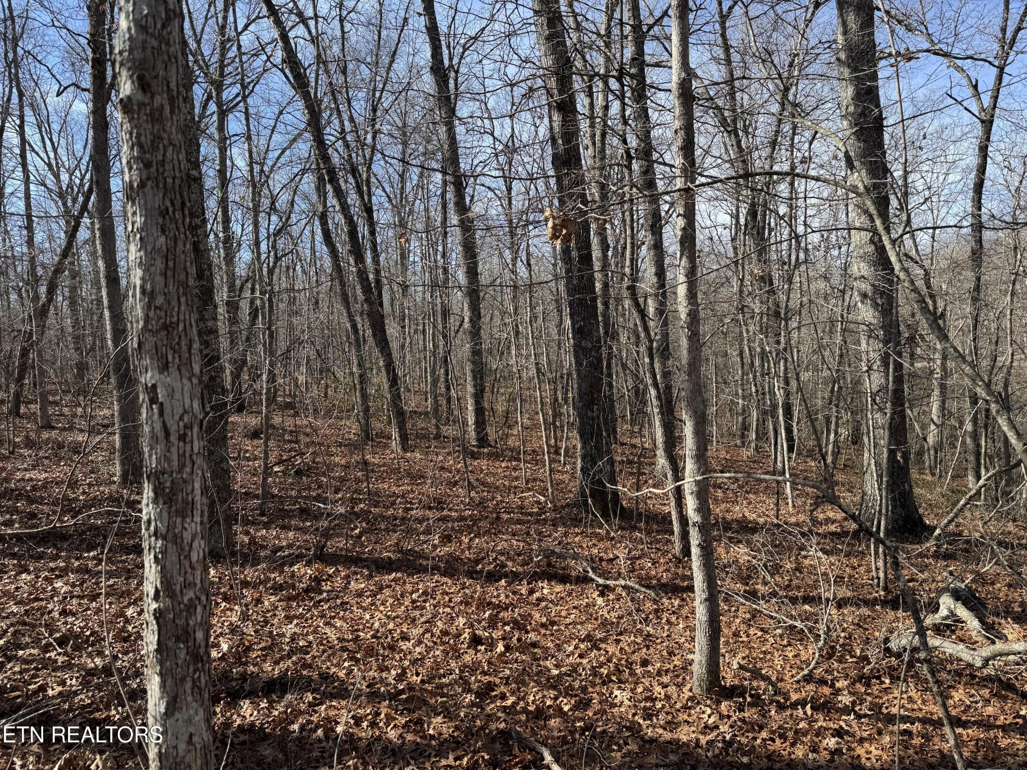 38 Crystal Point Monterey TN 38574