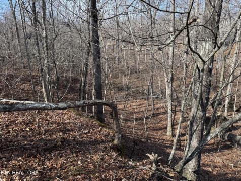 38 Crystal Point Monterey TN 38574