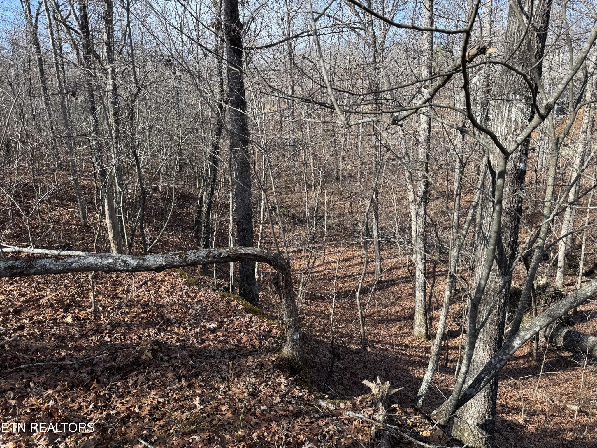 38 Crystal Point Monterey TN 38574