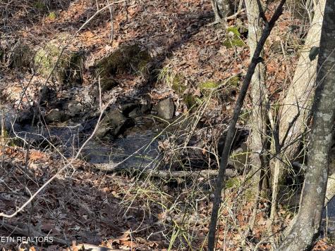 38 Crystal Point Monterey TN 38574
